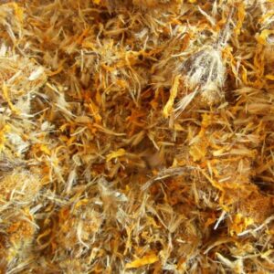 ARNICA FLOWER WHOLE (MEXICO)