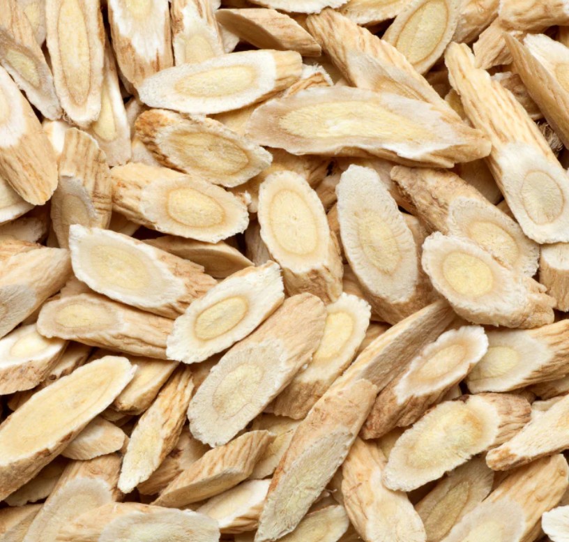 ASTRAGALUS ROOT
