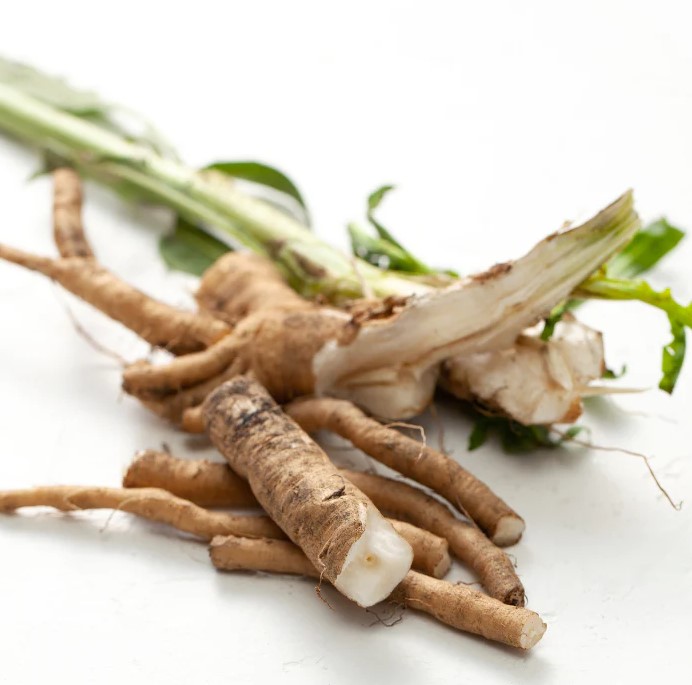 CHICORY ROOT COFFEE - Image 3
