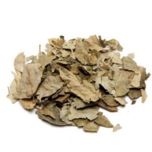 Curry Leaves