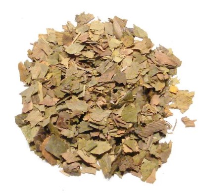 GINKGO LEAVES