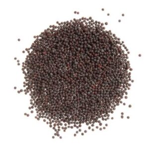 MUSTARD SEED BLACK WHOLE