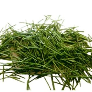 PINE NEEDLE TEA