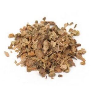 RHODIOLA ROOT