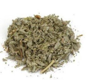 SAGE LEAVES