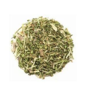 SKULLCAP HERB C/S