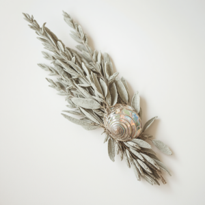 WHITE SAGE & ABALONE SHELL